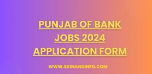 Punjab of Bank Jobs 2024 Application Form