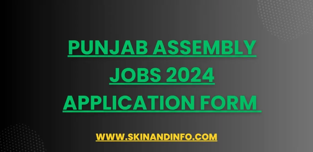 Punjab Assembly Jobs 2024 Application Form 