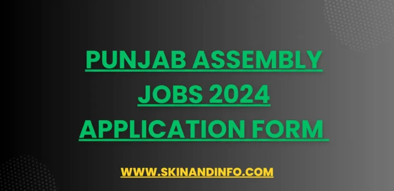 Punjab Assembly Jobs 2024 Application Form