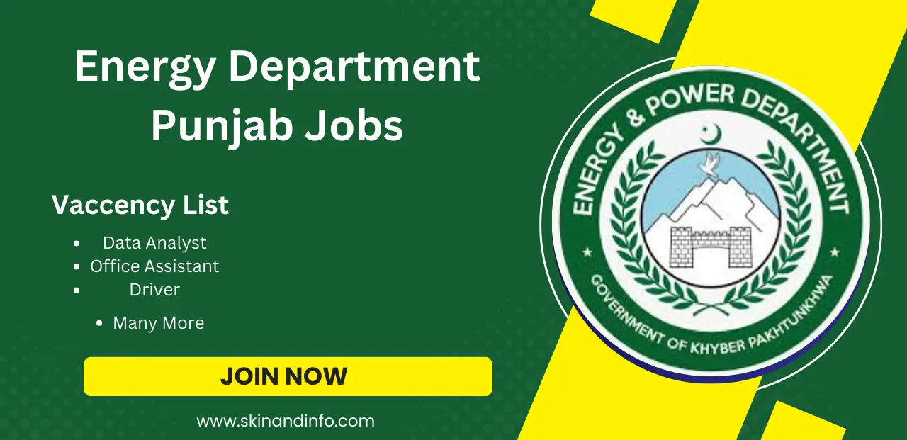 Energy Department Punjab 2024 Advertisement Online Apply